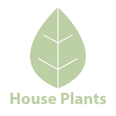 House Plants Store